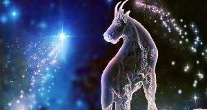 Oğlak Burcu Özellikleri Oğlak Burcu Özellikleri