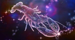 Yengeç Burcu Özellikleri Yengeç Burcu Özellikleri