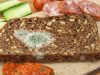 Aflatoksin Nedir? Aflatoksin Nedir