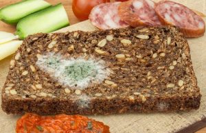 Aflatoksin Nedir? Aflatoksin Nedir