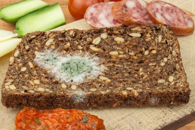 Aflatoksin Nedir? Aflatoksin Nedir