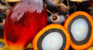 Palmiye Yağı Zararlı Mıdır? Palmiye Yağı Zararları