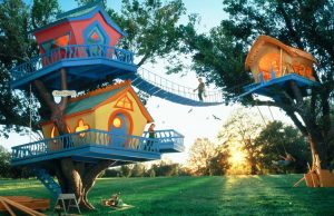 Ağaç Ev Nasıl Yapılır? Ağaç Ev Nasıl Yapılır