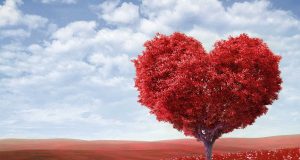 Ağaç Falı Nedir? Ağaç Falı