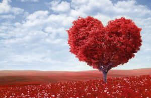 Ağaç Falı Nedir? Ağaç Falı