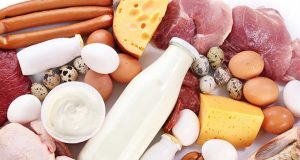 Hayvansal Gıdaların Önemi Nedir? Hayvansal Gıdaların Önemi Nedir