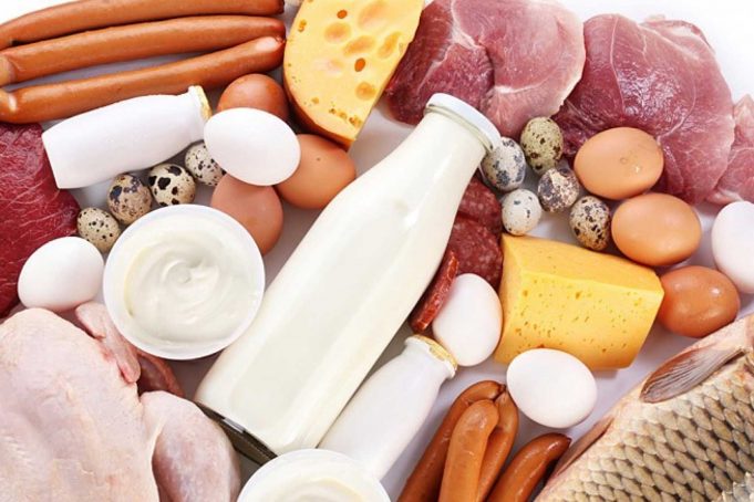 Hayvansal Gıdaların Önemi Nedir? Hayvansal Gıdaların Önemi Nedir