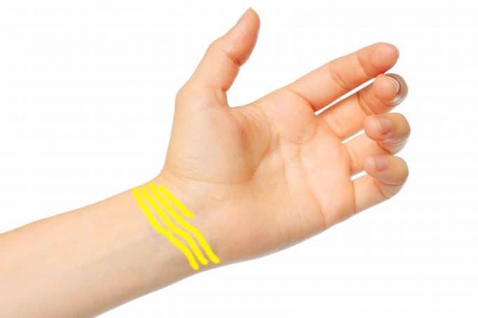 İnsan Bileğindeki Çizgilerin Anlamları İnsan Bi̇leği̇ndeki̇ Çi̇zgi̇leri̇n Anlamları