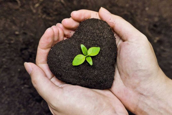 Solucan Gübresi Nedir? Solucan Gübresi Nedir