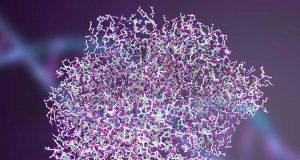 Şarbon Hastalığı Nedir? Bulaşma Yolları Nelerdir? Şarbon Hastalığı Nedir Bulaşma Yolları Nelerdir