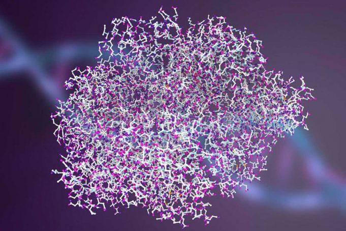 Şarbon Hastalığı Nedir? Bulaşma Yolları Nelerdir? Şarbon Hastalığı Nedir Bulaşma Yolları Nelerdir