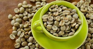 Yeşil Kahve Nedir? Nasıl İçilir? Yeşil Kahve Nedir Nasıl İçilir