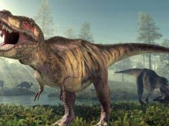 Dinazorlar Dünyasına Yolculuk Dinazorlar Dünyasına Yolculuk