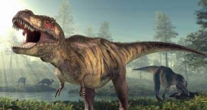 Dinazorlar Dünyasına Yolculuk Dinazorlar Dünyasına Yolculuk