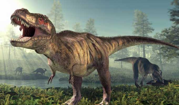 Dinazorlar Dünyasına Yolculuk Dinazorlar Dünyasına Yolculuk