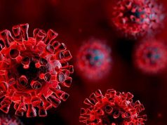 Korona Virüsü Nedir? Korona Virüsü Nedir