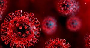 Korona Virüsü Nedir? Korona Virüsü Nedir