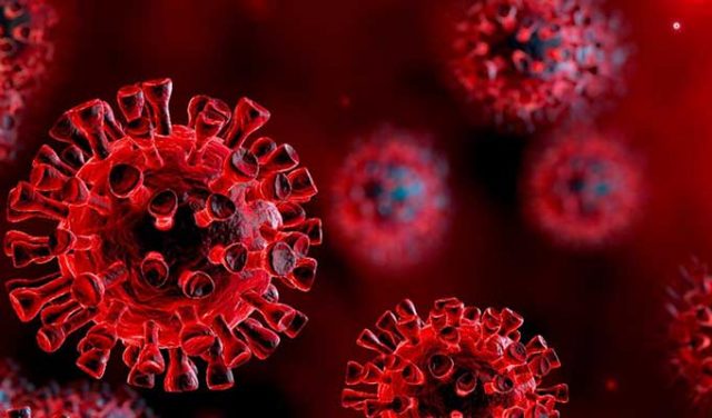 Korona Virüsü Nedir